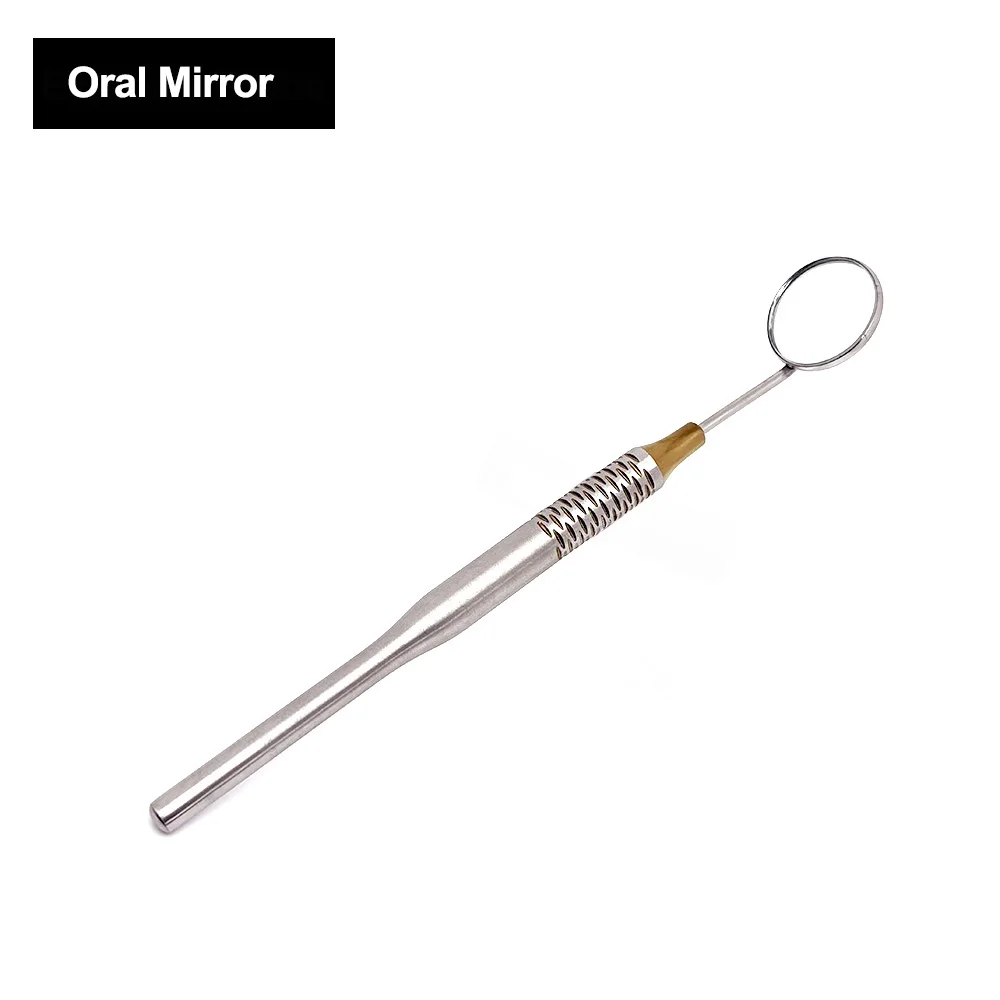 Stainless Steel Dental Mouth M - đánh giá và giá Dental Mirror Probe