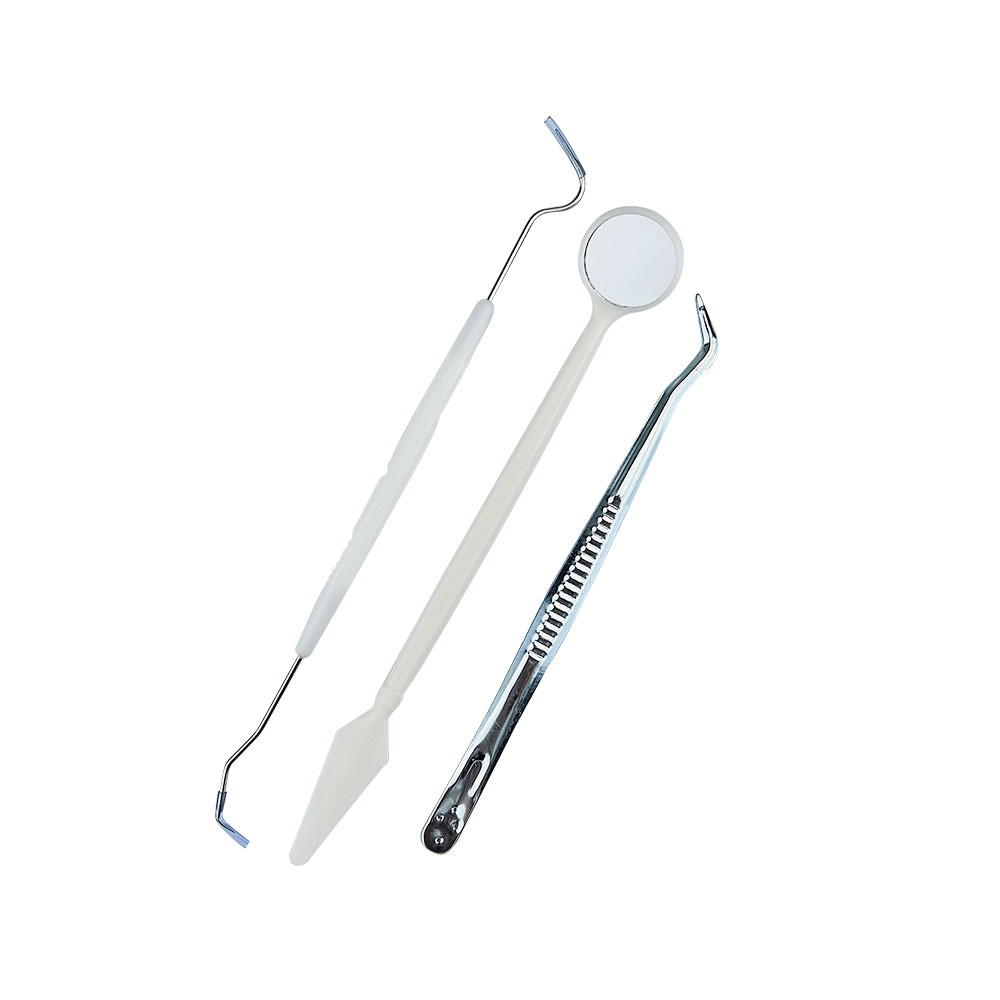 10 bags Dental Tool Kit Stainl - đánh giá và giá Dental Mirror Probe